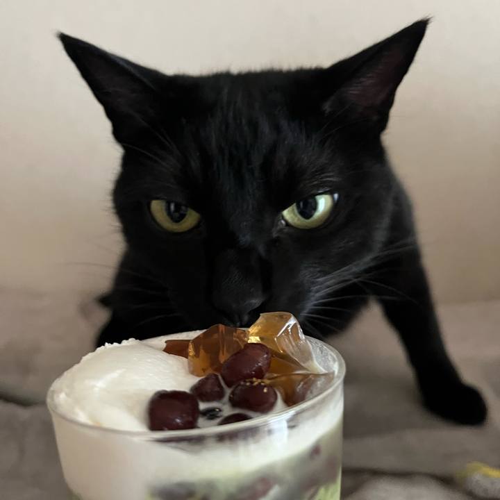 045499ad e824 458d 9c6b 94c40731c443 1751794960643