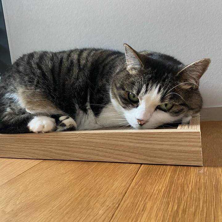 0454a1e9 1c0e 4711 b17c 74cc37eae078 1754789596027