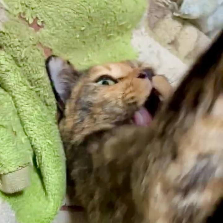 0454a5bc 24f2 4143 bb46 0e4f501d5a5a 1761599643995