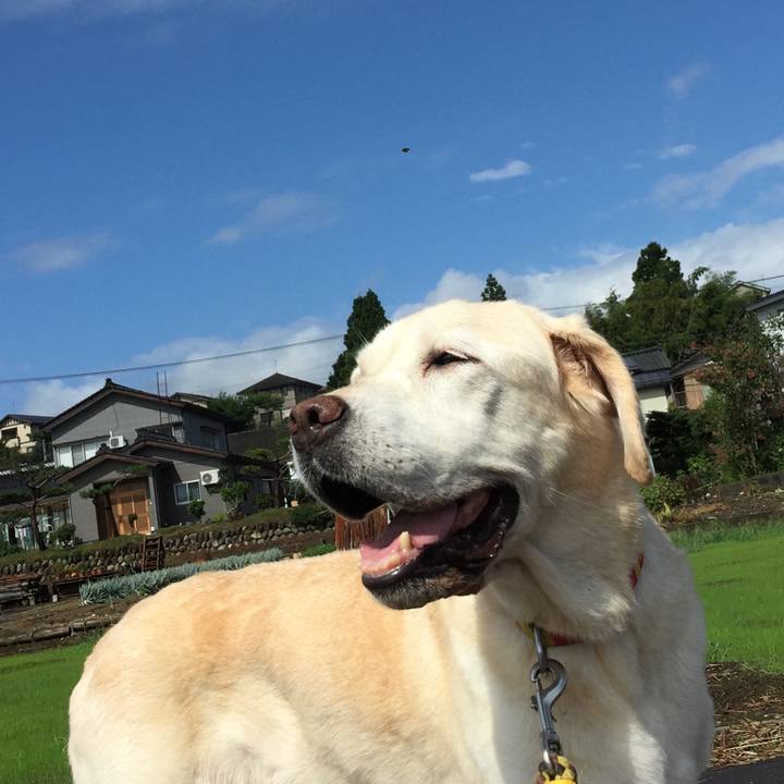 04553337 241c 4c5f 84fc 6023c90f07fa 1536634133125