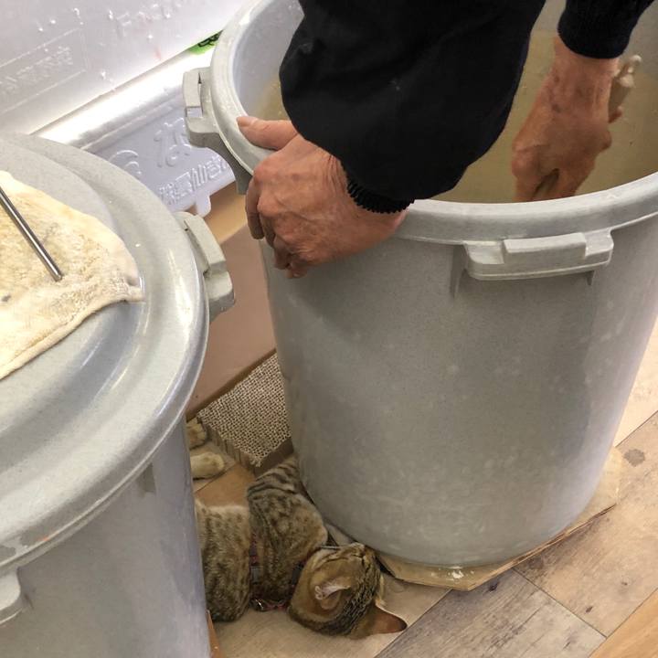 04554029 db12 4051 879f 7dafec3560ae 1579939295576