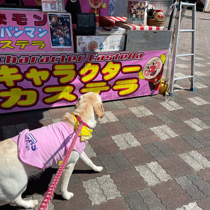 0455481f 3e1a 4c7d a05b 94f41b7721fd 1633492992973