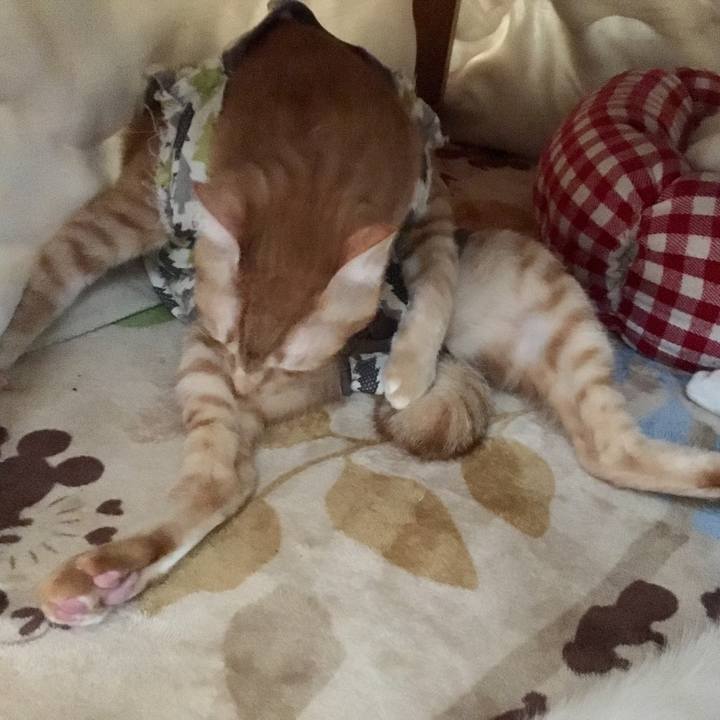 04555d45 ee91 4a37 8369 808de3f0bdbc 1511328952212