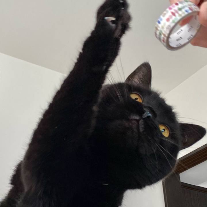 0455c4ec 3cc8 419b 811d 4a1bfe5739ca 1747190682970