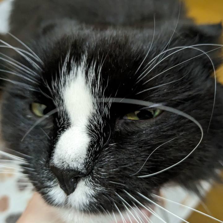 0455d46f 47d9 4fe6 a3f3 ce00dac2fb8b 1705825009412