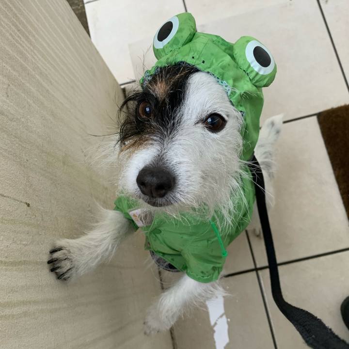 0456435c c4c4 4bb6 8529 4b7dd90bc3b0 1679123863895