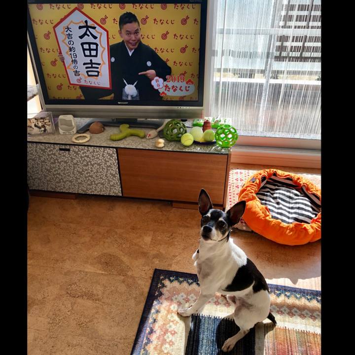 045654a1 0544 4033 a49c 57dc2cc42956 1546571010922