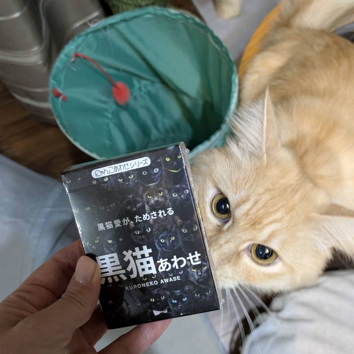 04565ad4 8499 424f b166 e1607376c8a4 1765184174506