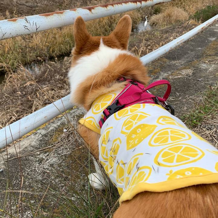 04565d95 19db 4d2d bfed 92b436b3619e 1639472503978