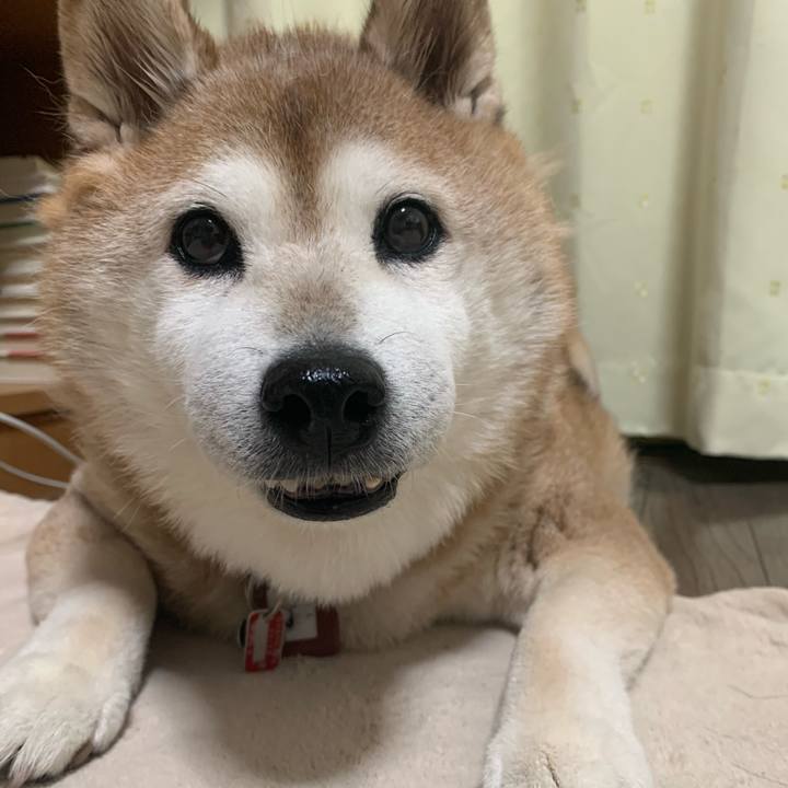 04565ebf b1f7 4fa7 8f80 3b5651e50b99 1599657695519