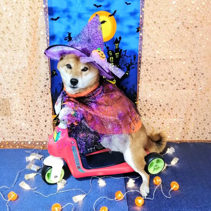 045689a1 e7b3 42c2 bc9f 46e32ad3f640 1601982615992