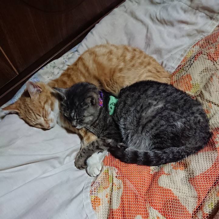 0456959f fd3b 4a51 ba81 2fe4bfa281c6 1587563133648