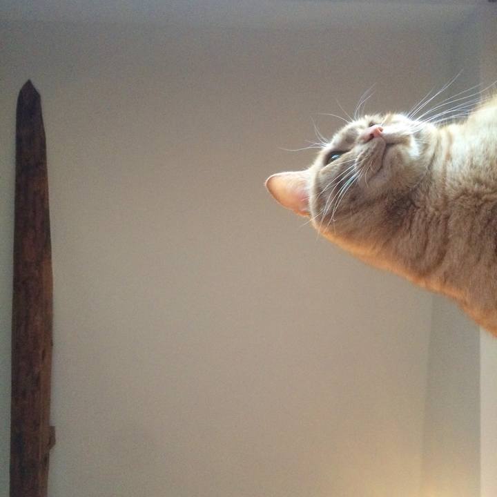 04569663 1296 4525 9cc3 853e3dae520e 1516171924822