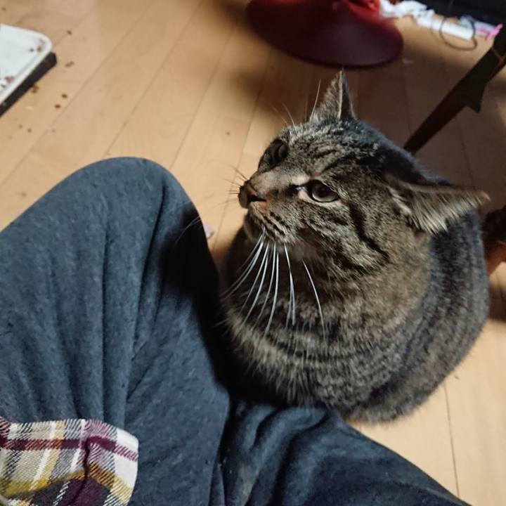 0456b123 b0c7 4979 a841 ef0cc687bd57 1639514508456