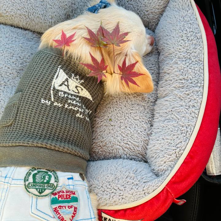 0456b34e c760 4b82 a84e 8e57f85d76f6 1700811958199