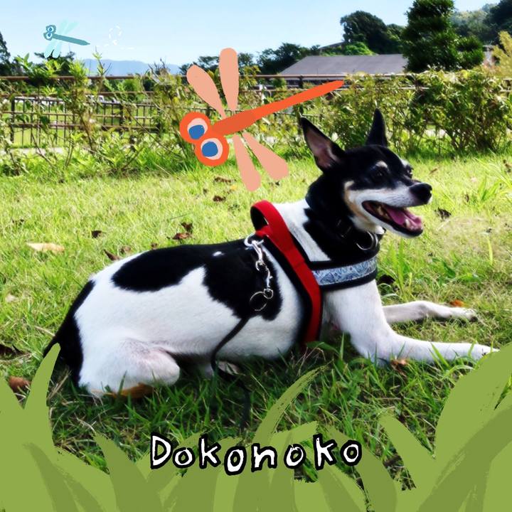 0456bf0b 79d6 4a2c a81f 3ee4418fda52 1727044720002