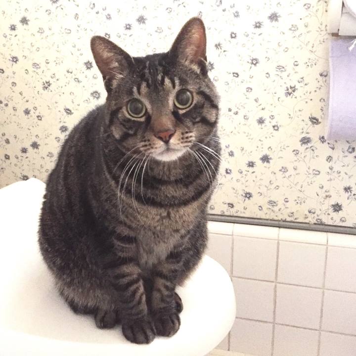 0456f000 086a 4313 92f6 0f843265507b 1515654074766