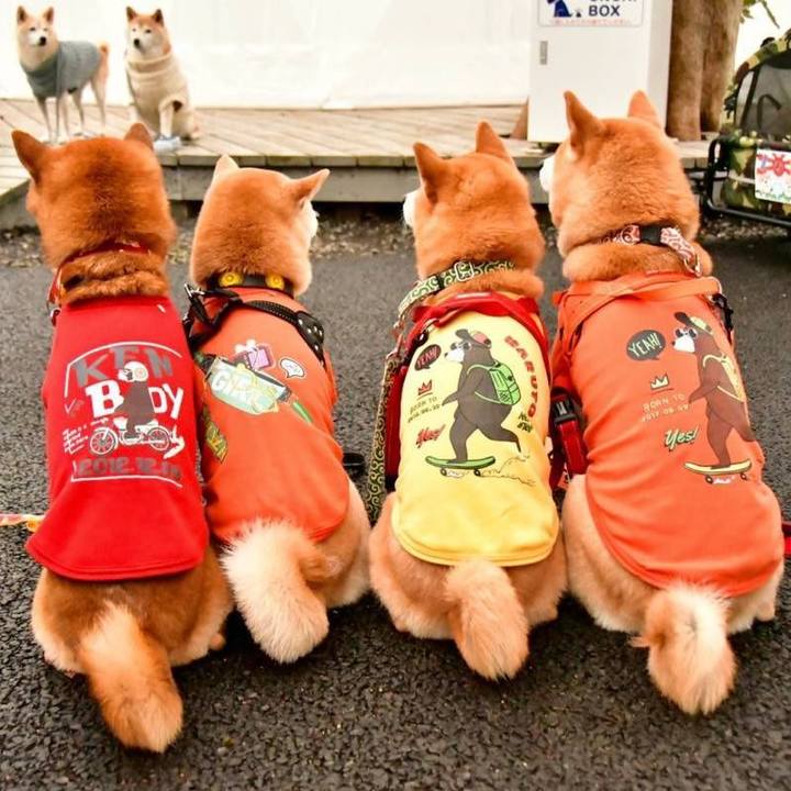 0457751a 0887 4d5a 8ad8 636de5d65eae 1673870345320