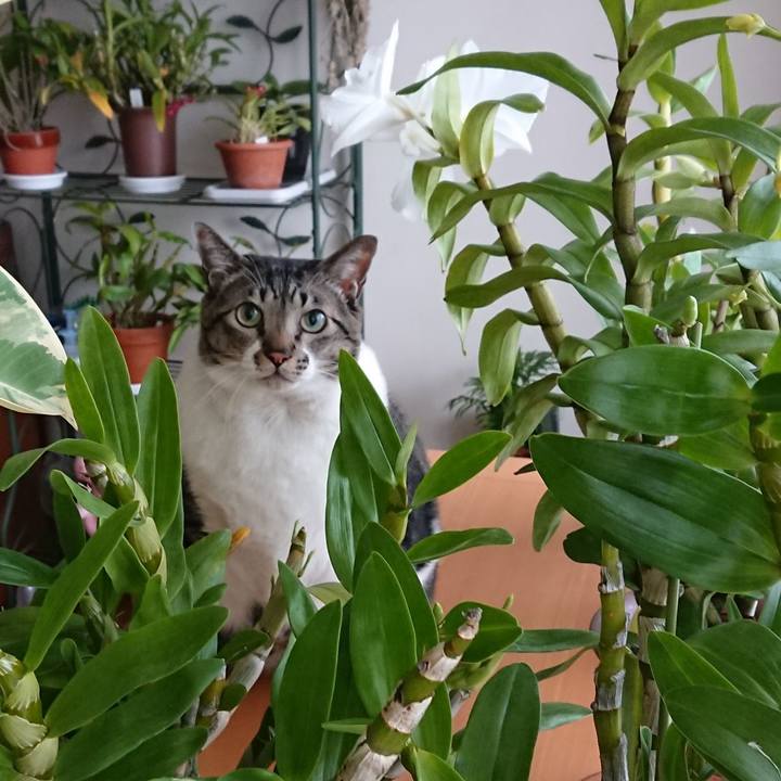 04578485 96c1 4670 ab95 1c0748260073 1545442760809