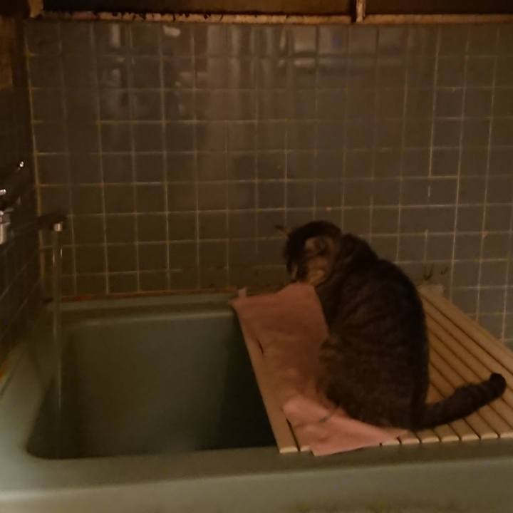 045790c8 1594 4df1 8548 f69ee1884b39 1578475334123