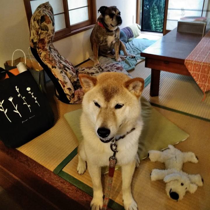 04579efd 3914 4e24 8882 0f49c2590f51 1533624196620