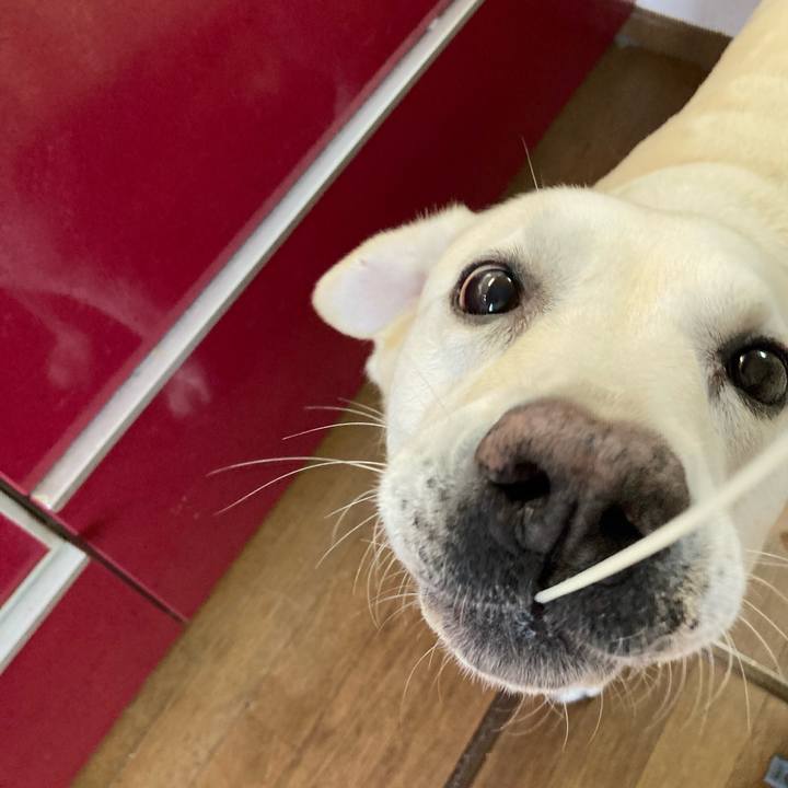 0457aba2 8d92 4fc2 9e97 51a87ee1bc08 1724547255199