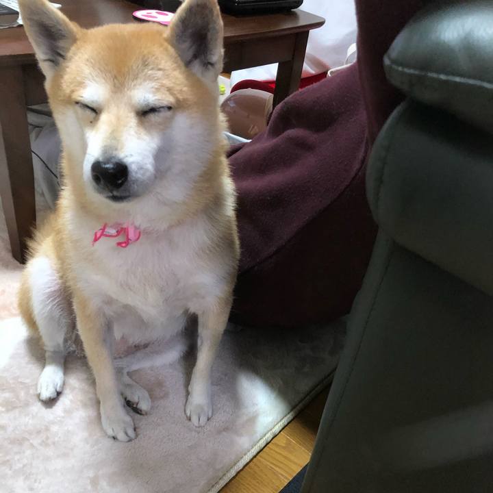 0457bd12 fdde 4838 ac7e b4fc7ee6924b 1577799557212