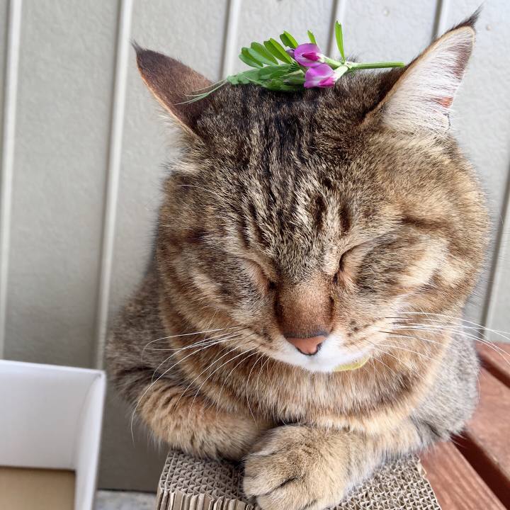 0457c18e ec85 44c5 8504 3be70b803db5 1617676760549