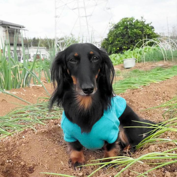 0457cbaa 8783 451d 887a d1c200dc1d26 1541399597786