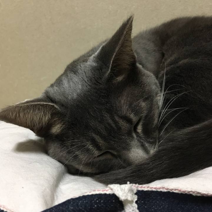 0457ce74 514c 4a6f 9999 542ee0b9b90f 1542756310280