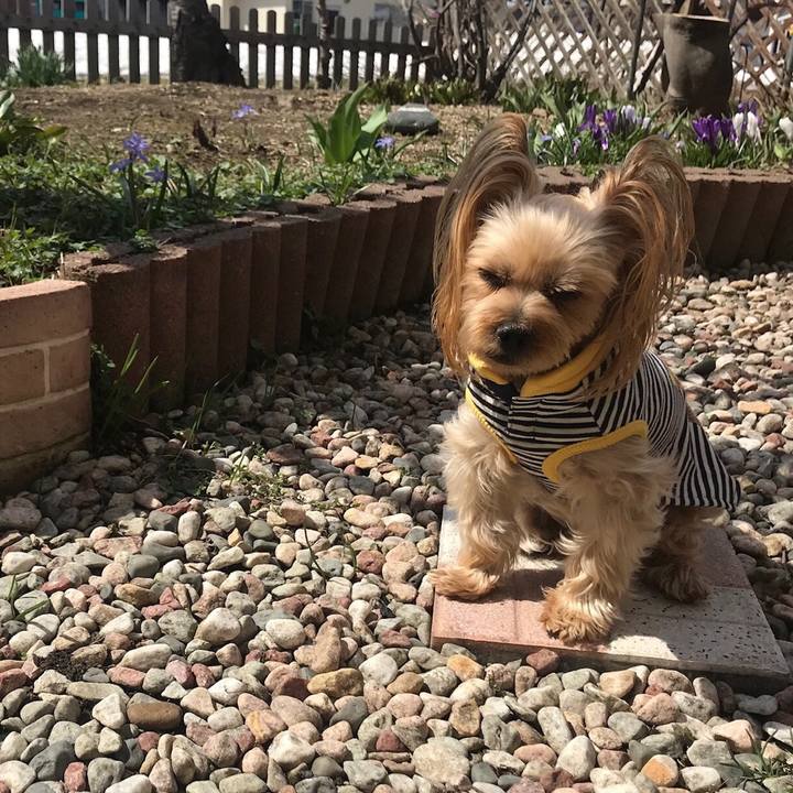 0457d2c8 1f5e 41e6 a76b c40aee53fe24 1555748730757