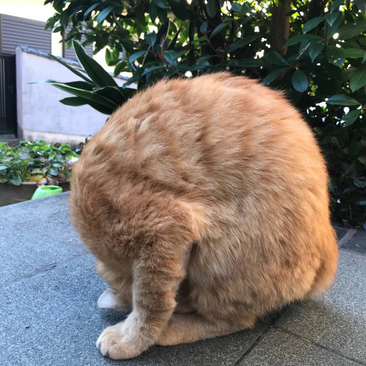 0457d3ae 2ced 415d a6ee 73a8bb010a71 1511767598068