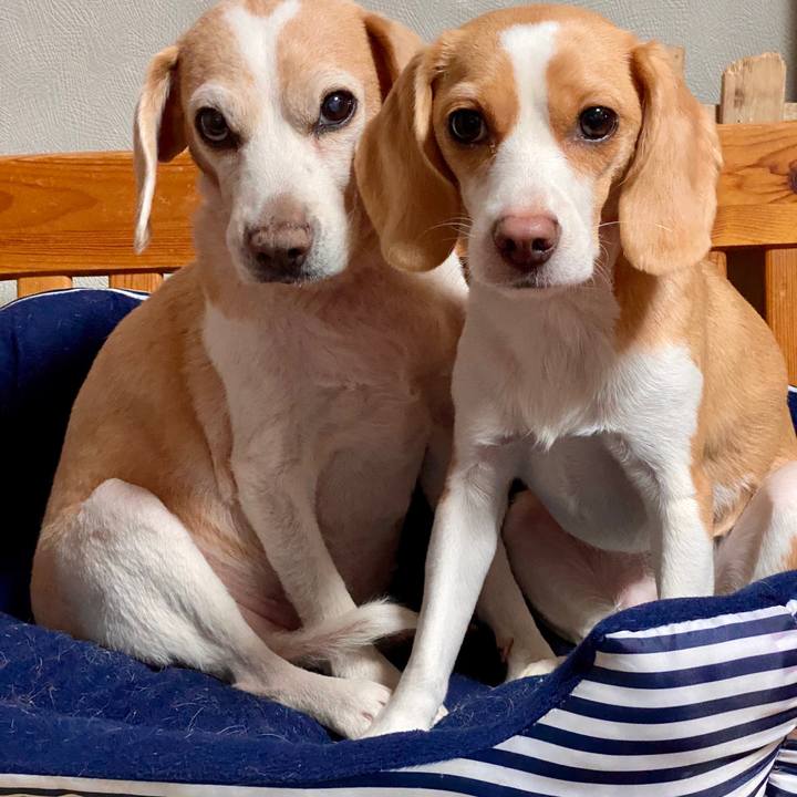 0457ec2b 7437 4281 8d50 9457e8af6913 1615028980403