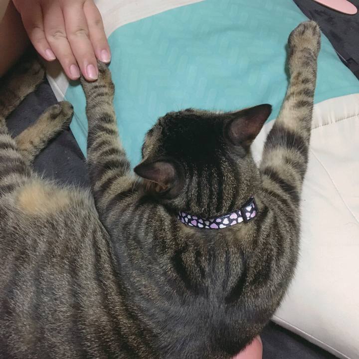 0457fed8 47f4 4f8d 8549 5a0419152545 1564181040789