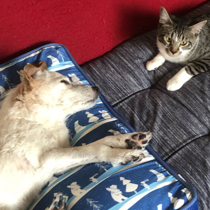 045856ca 9458 492f bcb9 9535d54e425e 1651840972271