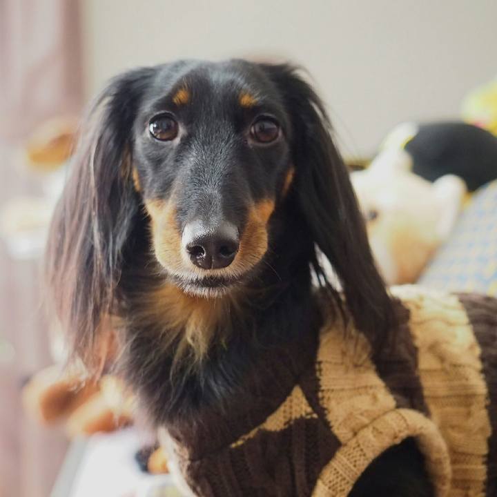 045891cb 6cfd 44c0 b861 ee4325f8994f 1518569460501