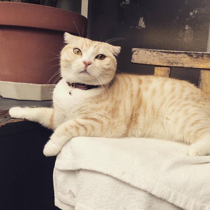 0458a524 eff6 4c9a b70b 60c5bb0932a0 1591610593149