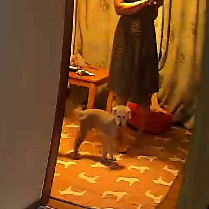 0458a93c 9904 4b42 bec8 a548b6f76063 1590493743579