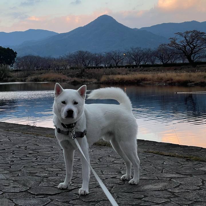 0458af5e a0a3 4fac 9b71 0673cfb6990f 1642464954725