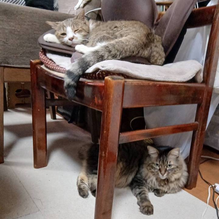 0458dab7 c924 44b3 957f 2f7c24271897 1753952842486