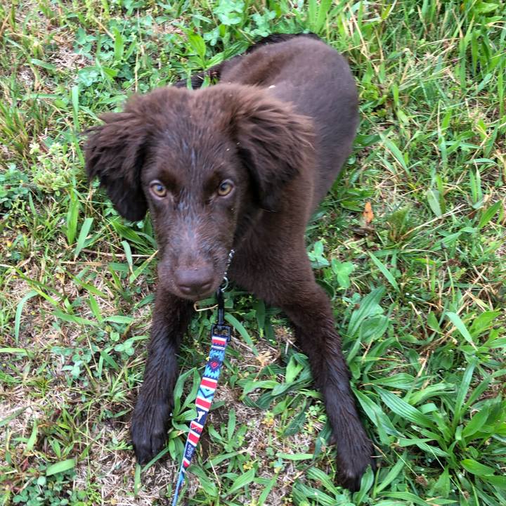 0459577b 6a7e 495f b75e f0fd4ce79bb0 1556142866690