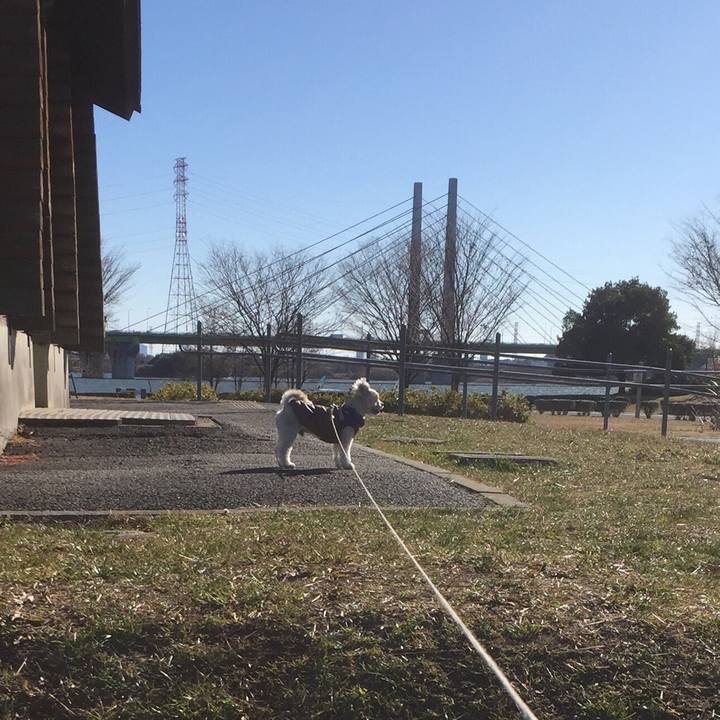 04595c6d 0179 4761 b92f b4f356c6b0f0 1514790337878