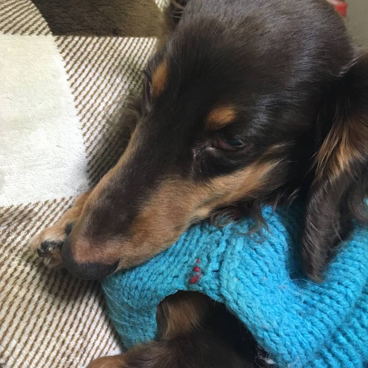 0459d330 fa0d 44d9 b9ac 807576a1276c 1516014097570