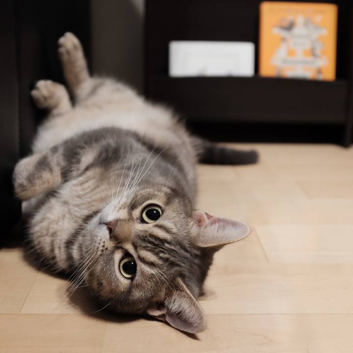 0459d7a7 2ab2 41d9 a47b d488bcdc9e1f 1538076910153