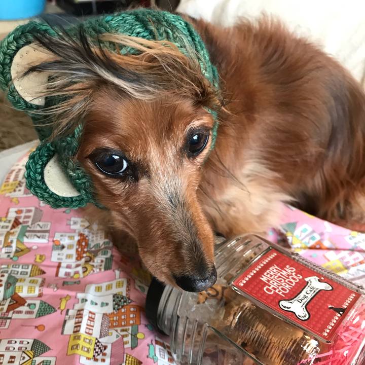 045a1689 7f83 41b2 93f8 a249a1b9f941 1545525056429