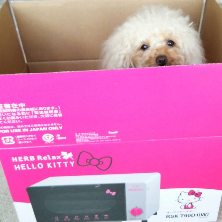 045a7a44 68e6 473c a753 f3838b367726 1514371875714