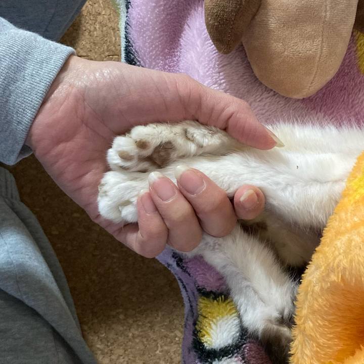 045acdcb 7e5b 4caf b3a3 ffec20a34be0 1769552482902