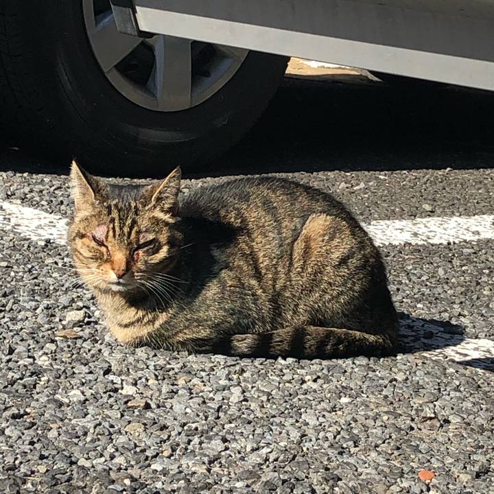 045acec4 b962 4af6 9a5f 538190d1c0bf 1547988731379