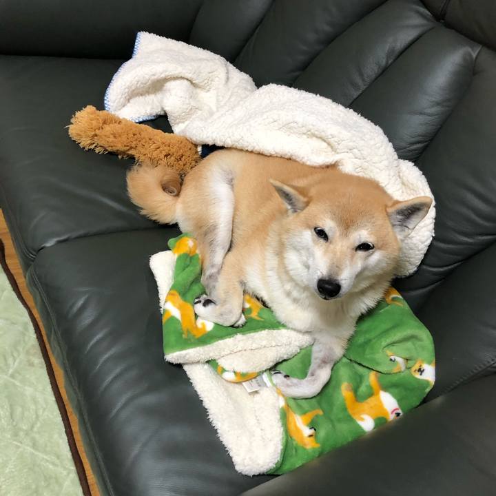 045ad605 806b 44db 95c7 9f5d5f1df62d 1575362986651