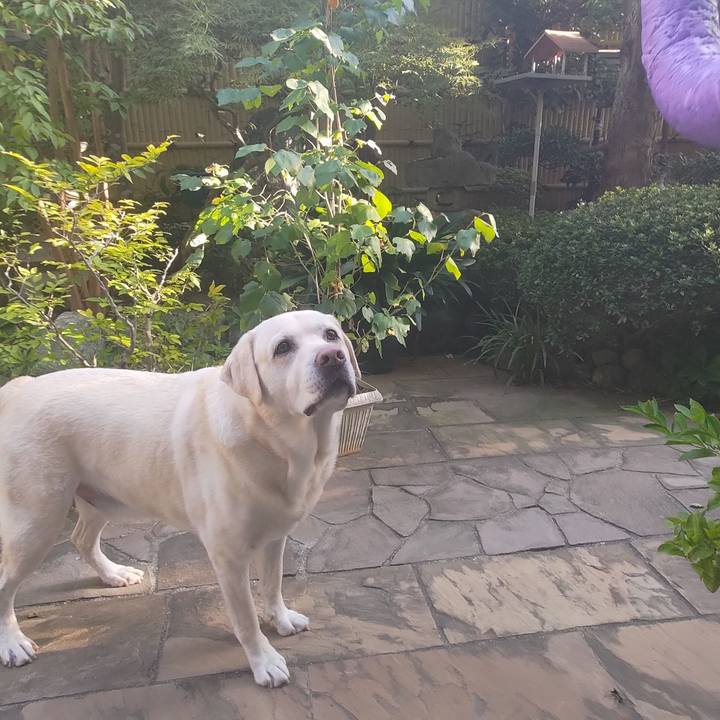 045ae5d8 1294 4d2f 88ce f16f91b0ffcf 1697265026372